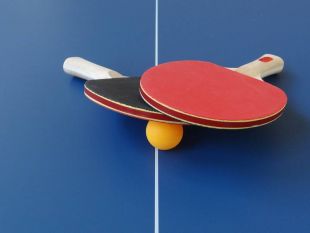 Теннисный стол Donic Indoor Roller 900
