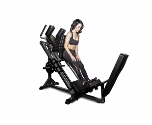 Жим ногами Body Craft F660