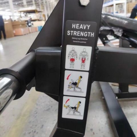 Разгибание ног сидя Insight Fitness TM37A