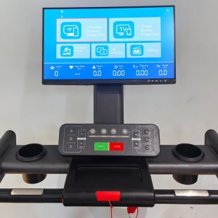Беговая дорожка Gymmaster LZX-L20T